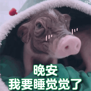 表情包丨小声嘀咕!