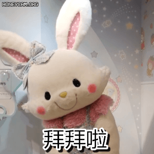 下期再见啦,有没有我的真爱粉呜呜呜