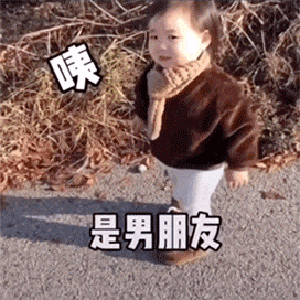 表情包两只小熊跳舞表情包动图愿在你这里放下原则因为你是我的女神