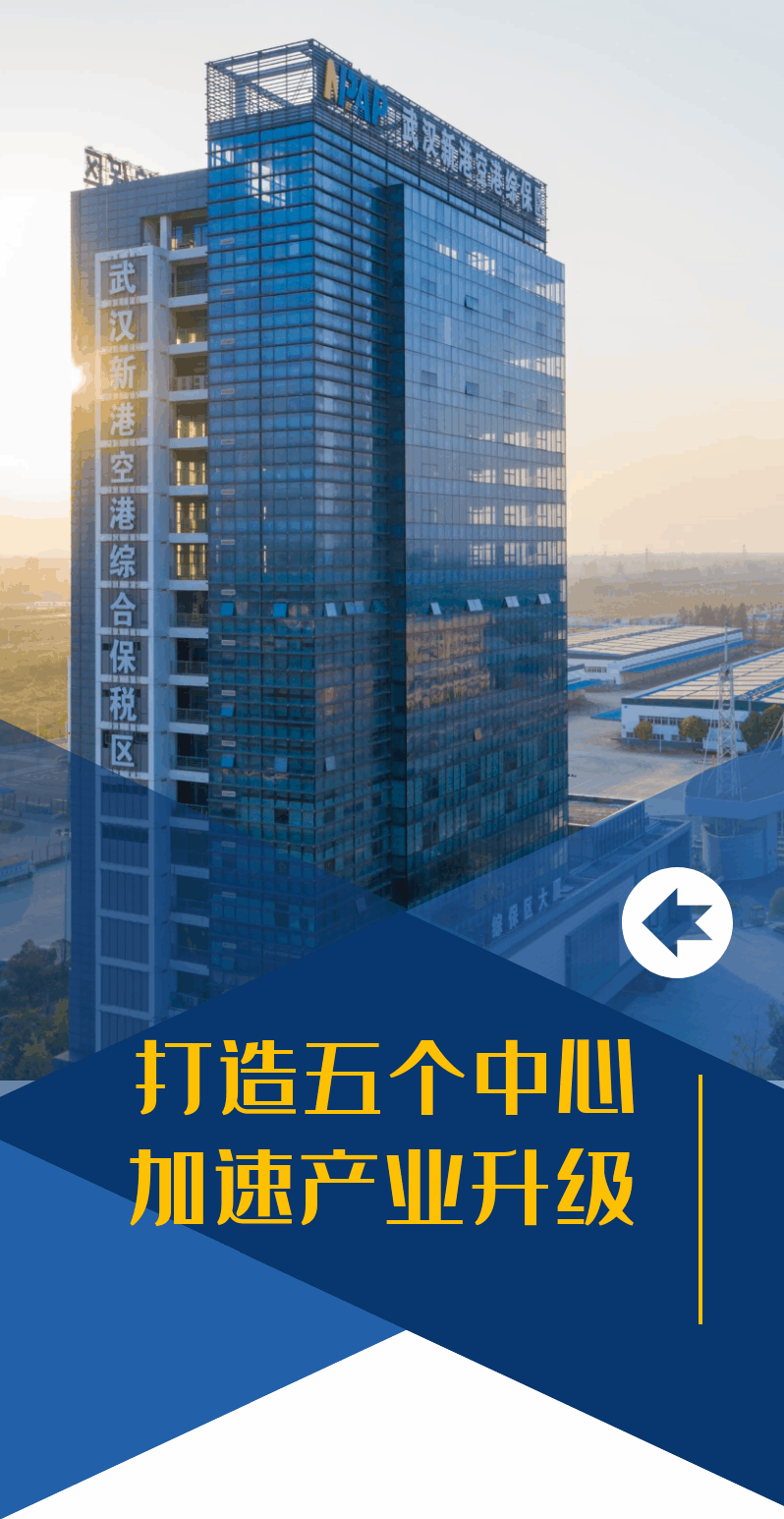 武汉宠物物流公司
