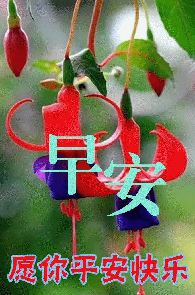 10月21日群发清晨早上好问候祝福动态表情图片 早安问候语及暖心的话