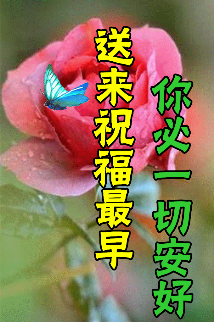 早上好,我亲爱的朋友