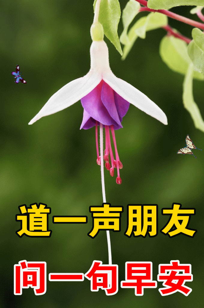 岁月流逝,你我情意不变;时光荏苒,你我牵挂依然;四季轮回,思念常记心