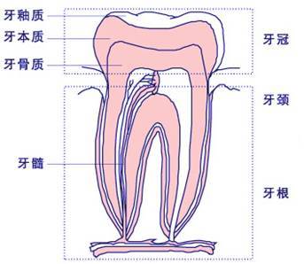 短短几个月,李沁的一口大黄牙居然变白了!