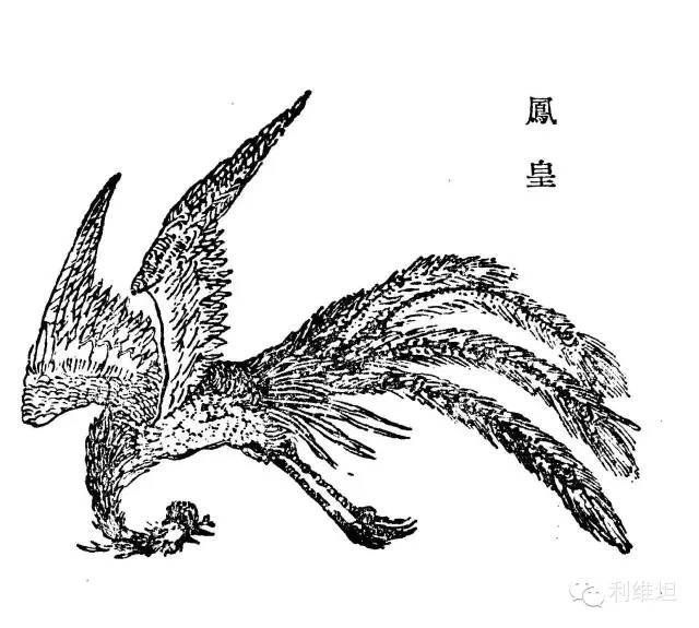 有人把《山海经》里面的神兽给拍出来了