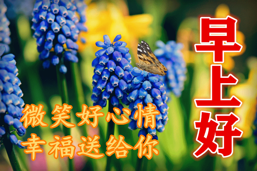 特别漂亮的早晨好动态表情包 2021早安最真挚的问候语