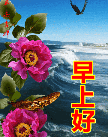 中老年表情包,过去的事交给岁月,将来的事留给时间!