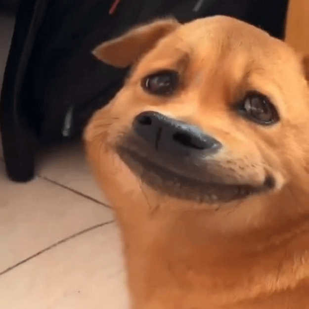 表情包图片大全罗熙抖音表情包0624期