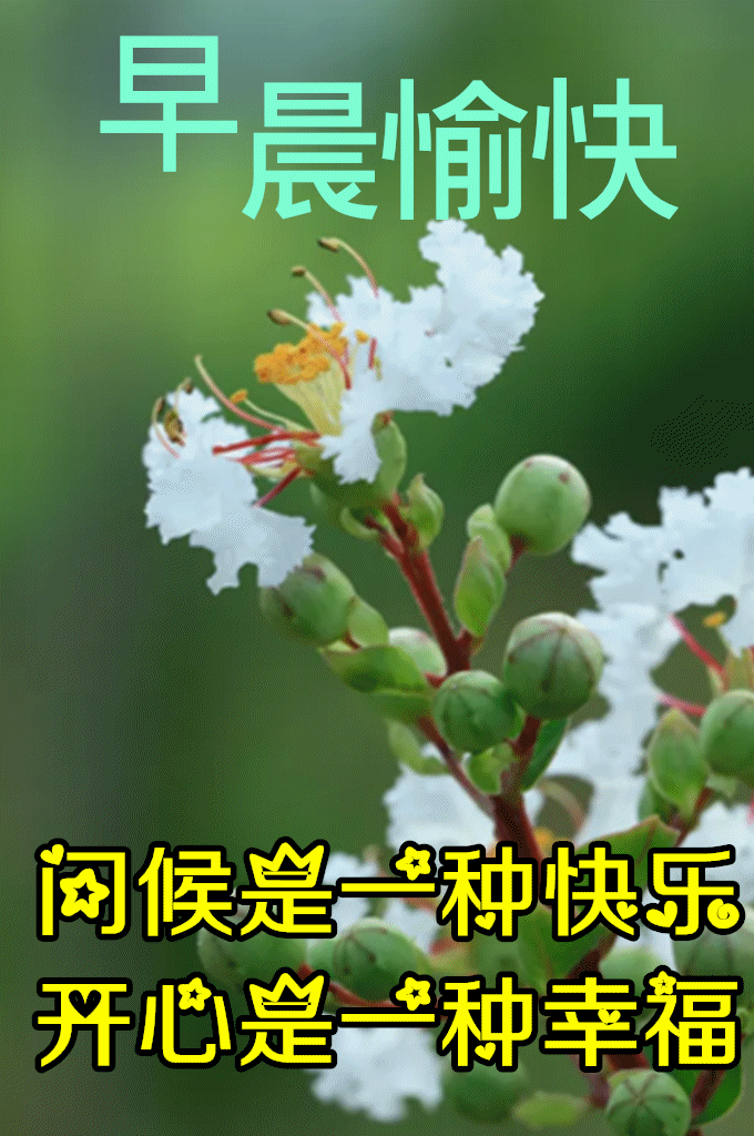 8张最新漂亮秋日早上好图片鲜花带字 秋天最美早安动画鲜花图片带字带