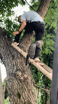 搞笑gif段子你这手速太快了我根本都没有看出来是怎么回事