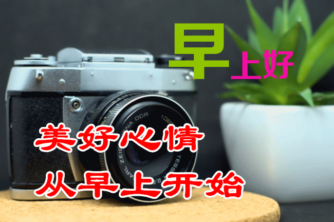 最新漂亮早上好图片鲜花带字带祝福语2021最美秋日早安问候祝福鲜花