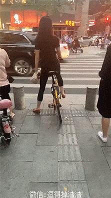 搞笑gif段子:狗界的猫王