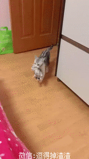 搞笑gif段子泡面的正确吃法够味够酸够爽