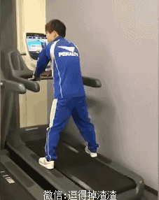 搞笑gif段子: 后园的泥巴地里突然多了一只