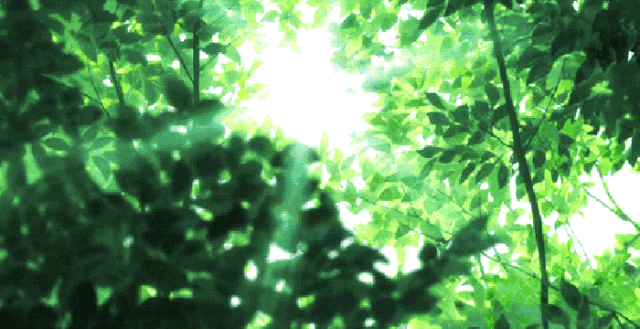 到8℃ 增加50%的湿度 并减弱20%左右的噪声 夏日炎炎,觅一处清凉消暑