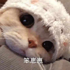 可爱的猫猫狗狗表情包_腾讯新闻