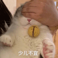 可爱的猫猫狗狗表情包
