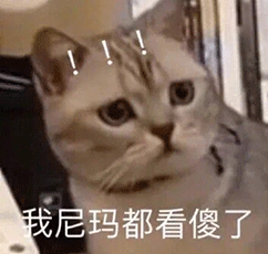 可爱的猫猫狗狗表情包
