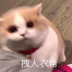 图片来源于网络 如有侵权/请联系我删除 小贴士:喜欢记得点赞 点在看