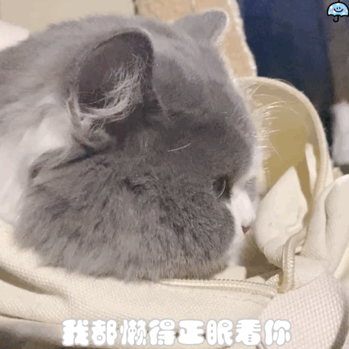 帅哥加我了参加公主哼你变了为什么总和我作对【未经允许禁止转载