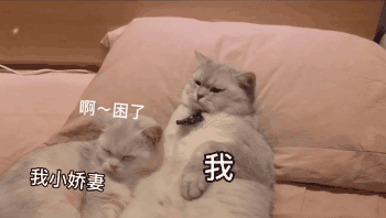 表情包丨我累了再也不舔了