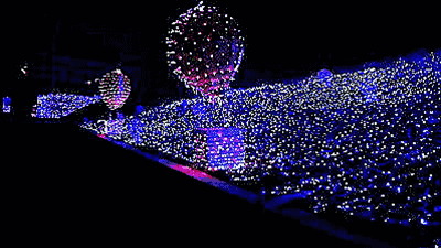 浩彤·彤锣湾艺术花海梦幻灯光节即将盛大开园,快来领