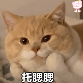 缺表情包的小可爱快看过来