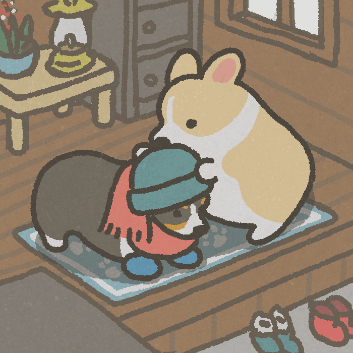 小柯基动图‖狗狗祟祟