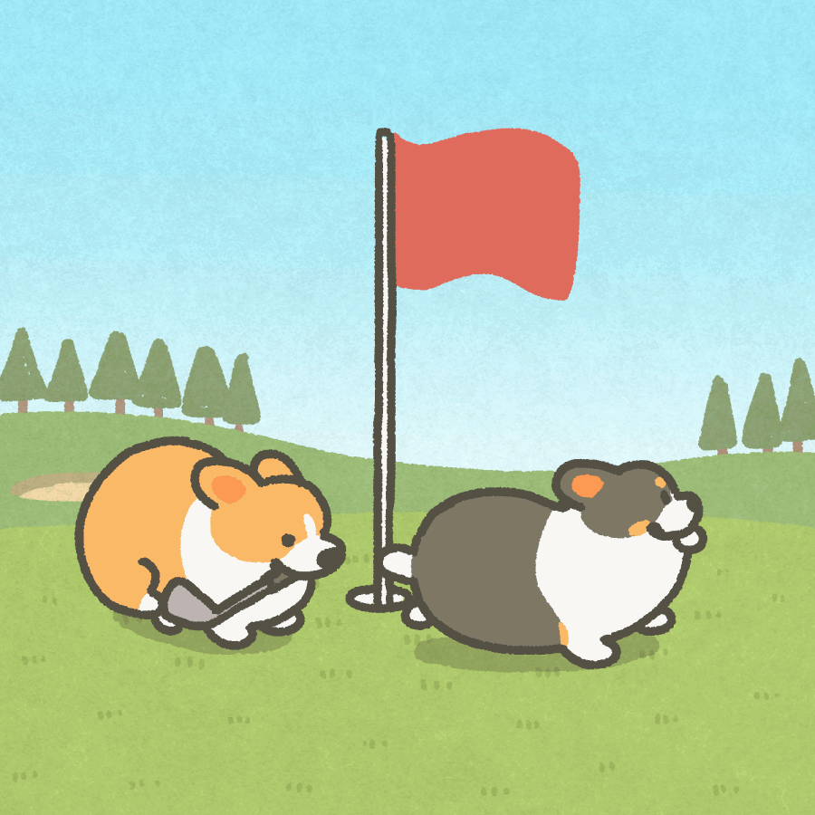 表情包丨圆滚滚的小柯基啊啊啊好可爱