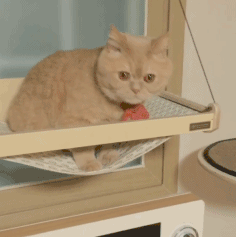 可爱搞笑又沙雕的表情包大全