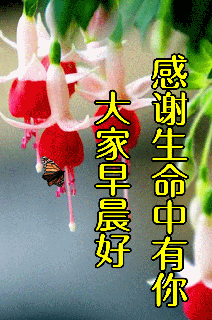 8月30日最新早上好动态祝福表情大全漂亮的早上好动图美图问候