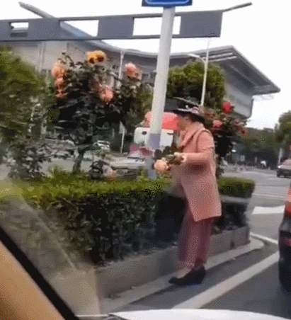 阜阳奔驰大妈!路边的野花不要采