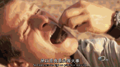 江浙沪这种小清新,也能有吃虫王者?