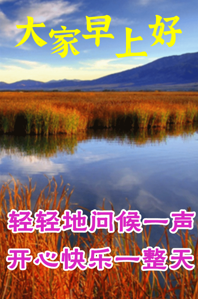 8张免打字就可以聊天的早安图片 创意唯美群发早上好问候动画表情图片
