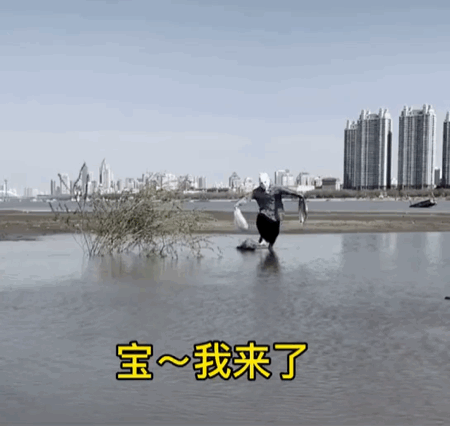 【表情包】宝～我来了