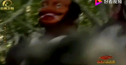 主任宋大昭介绍,事件初期,东北虎趴在弃置空房夹缝处的状态是正常的