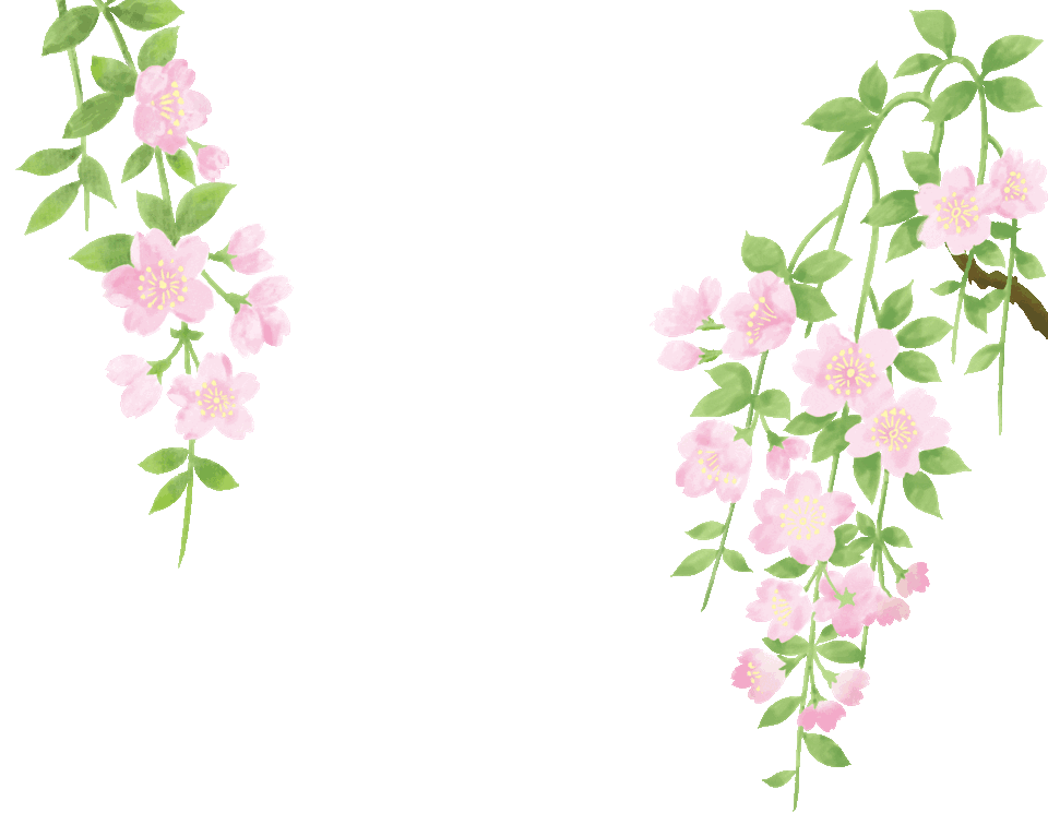 农村花开富贵,城市花香四溢!这才是