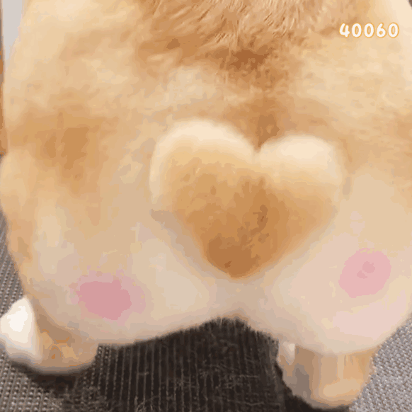 第88期聊天斗图必备表情包