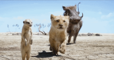 就能目睹到非洲小狮子的风采这个五一,不用远征外地野生动物园空降