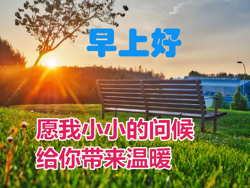 2021年5月7日漂亮好看的早上好动态美图鲜花带字温馨