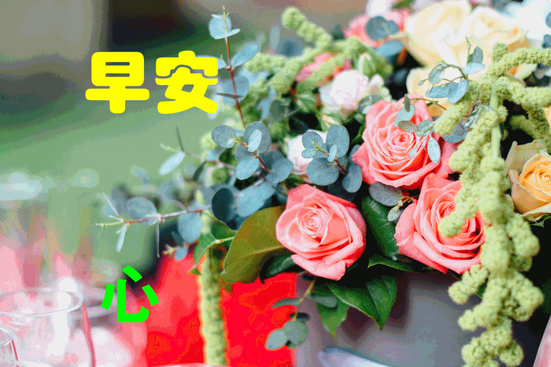 最新版早上好问候祝福漂亮动态祝福图片清晨问候图片动态表情温馨