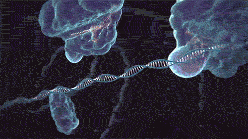 我们是否应该利用新生命科学技术使我们不那么容易受病毒的影响?
