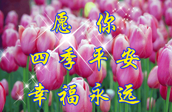 四月再见五月你好