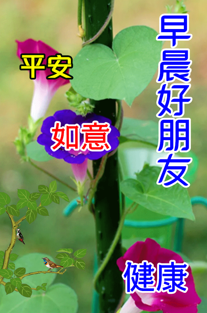 5月8日最漂亮早上好动态表情图片大全早上好动图美图大全