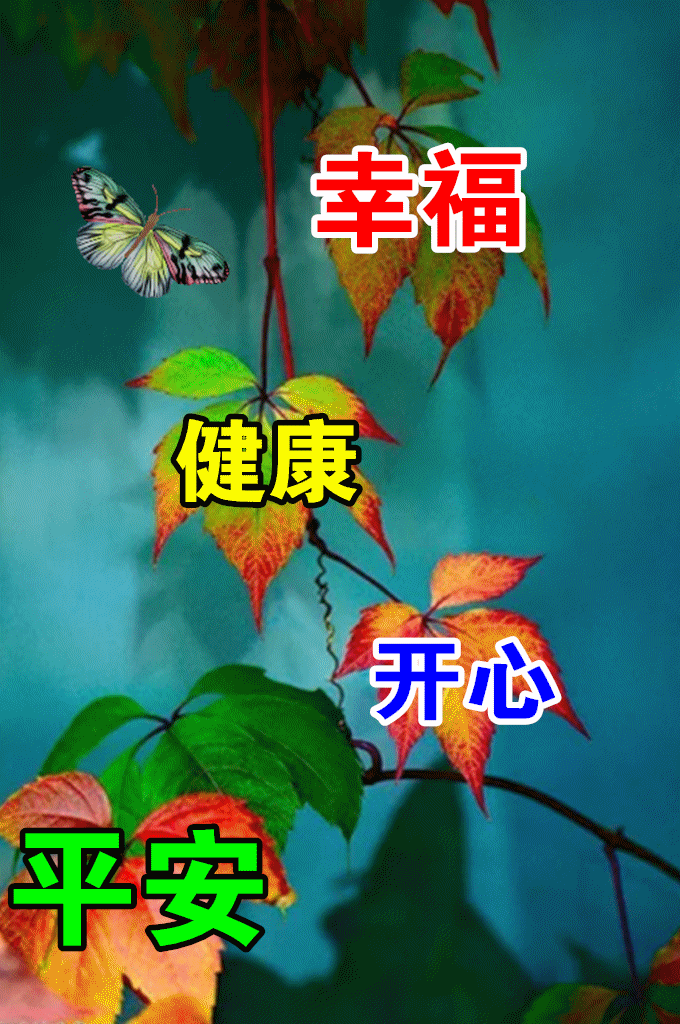 5月8日最漂亮早上好动态表情图片大全,早上好动图美图