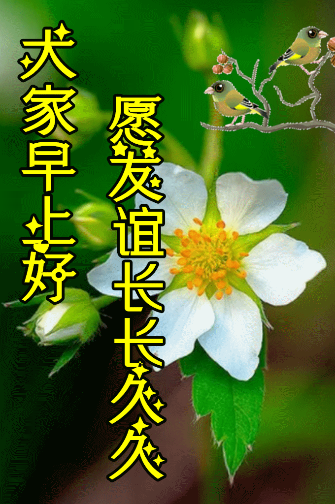 5月8日最漂亮早上好动态表情图片大全,早上好动图美图