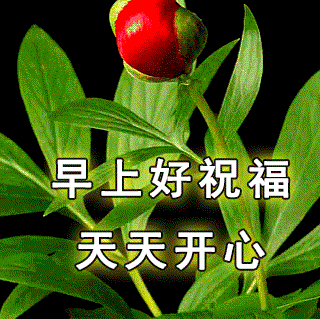 迎接五月最新清晨早安问候祝福语大全祝收到的朋友健康平安好事不断