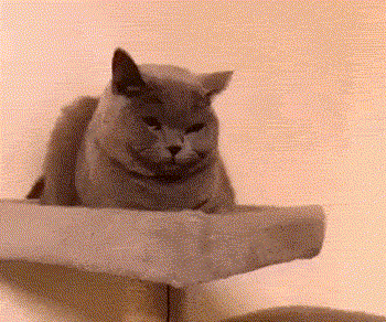 当代年轻人为什么晚上会失眠搞笑网友太多了吧哈哈