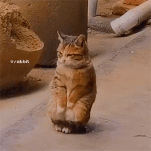 沙雕斗图表情包