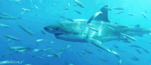 穹幕电影票免费送天津科技馆回顾经典电影节有奖竞答来啦